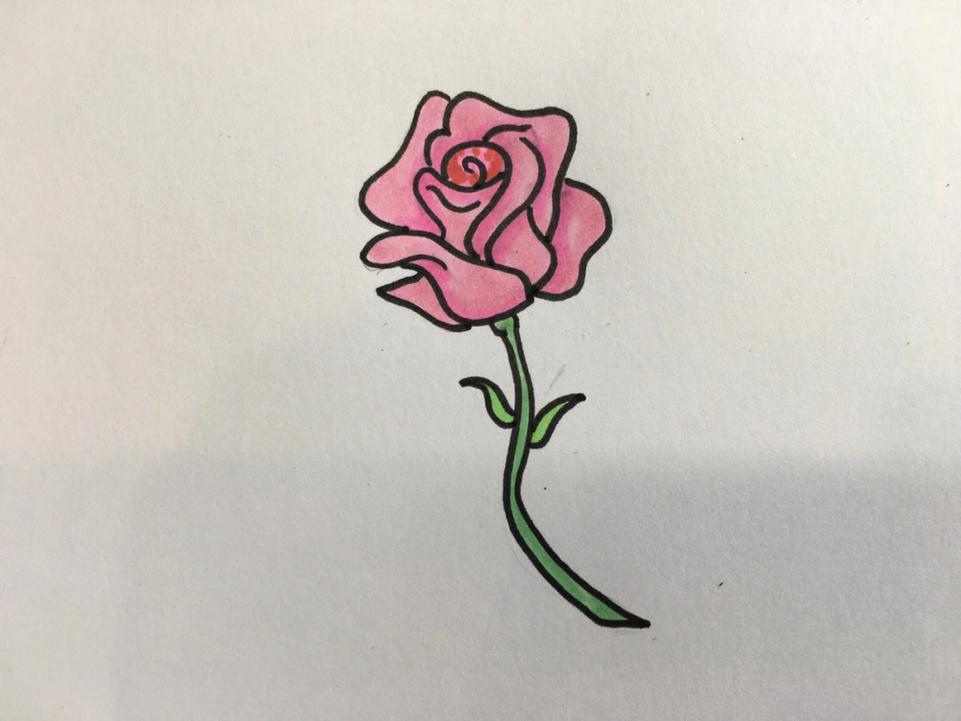 马克笔画玫瑰图片