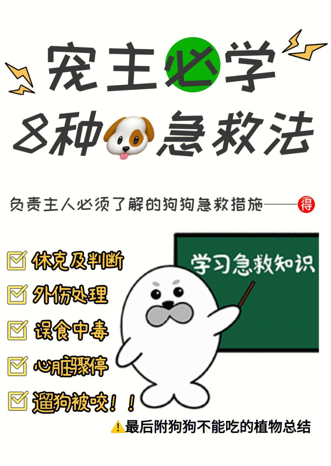 狗狗主人必须学会的急救措施