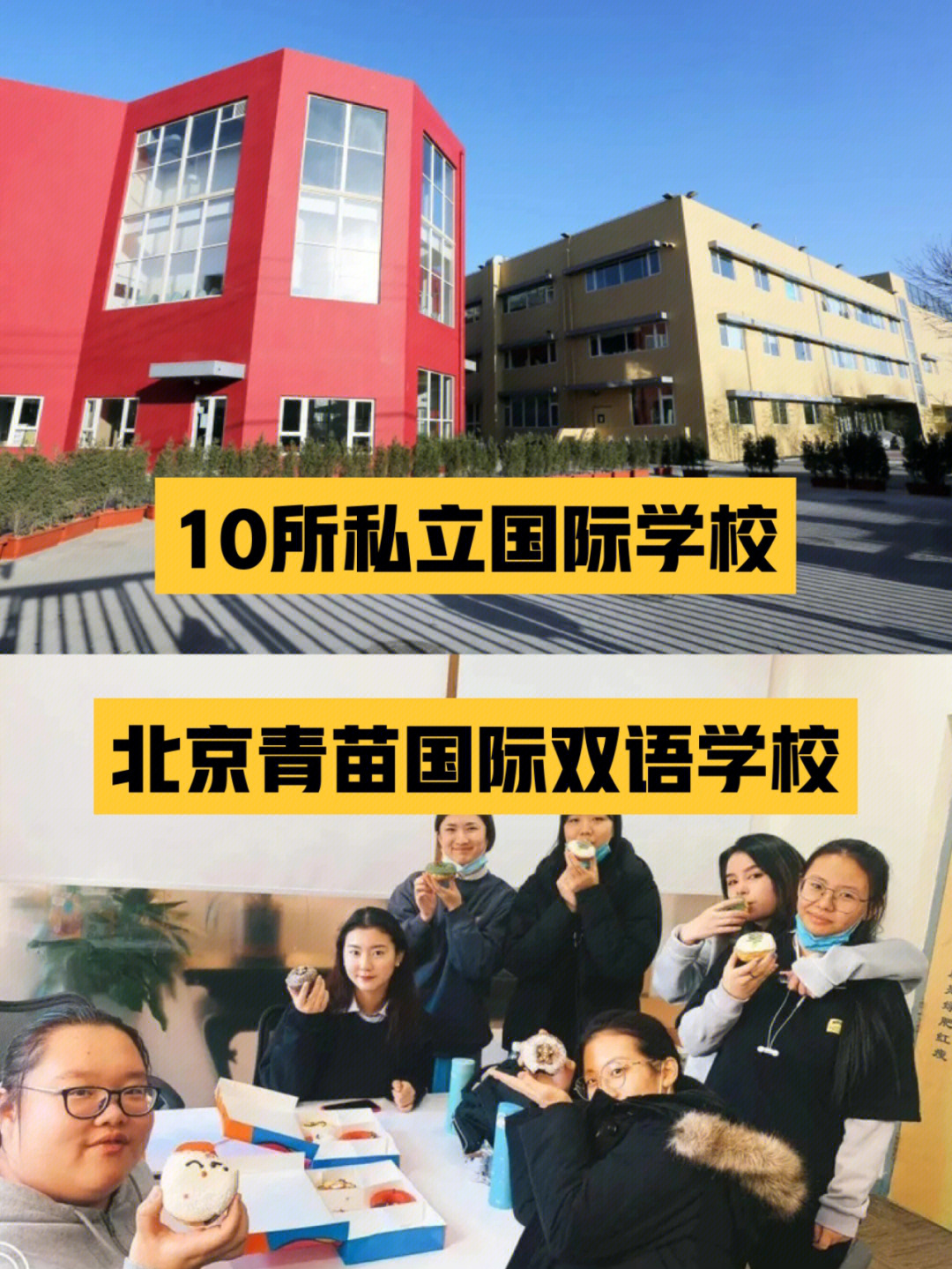 北京10所私立国际学校青苗国际双语学校