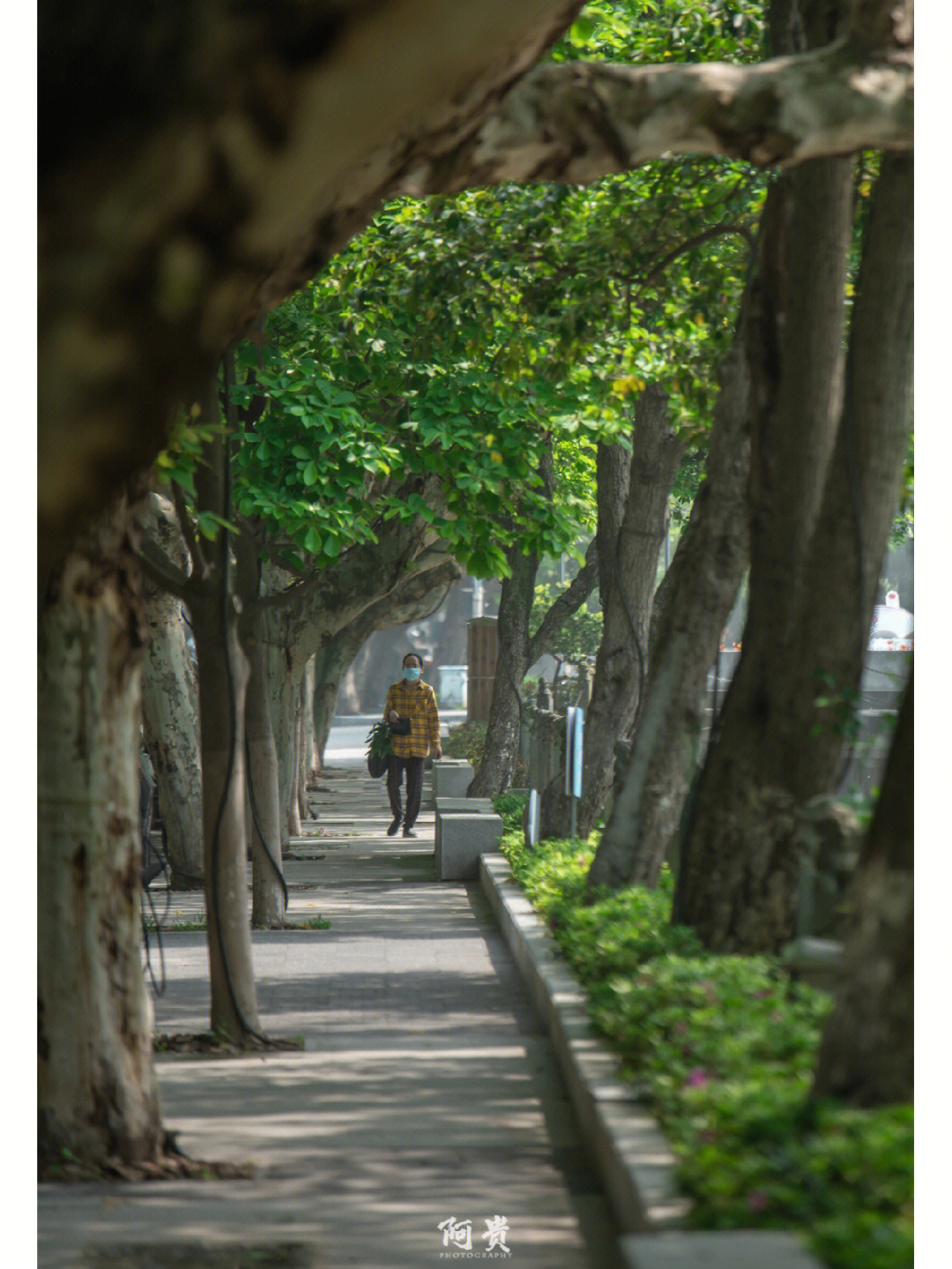 临平老城区图片