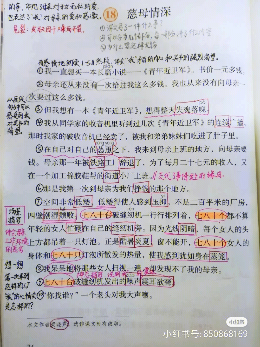 《慈母情深》读书卡图片