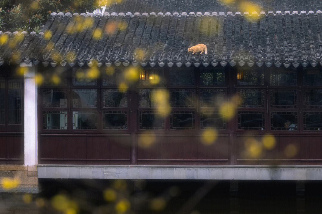 艺圃鸟瞰图图片