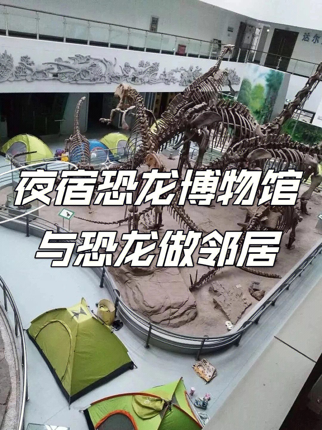 灵武恐龙博物馆电话图片