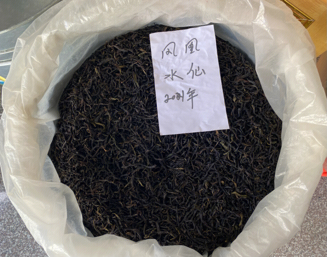 潮州凤凰山茶