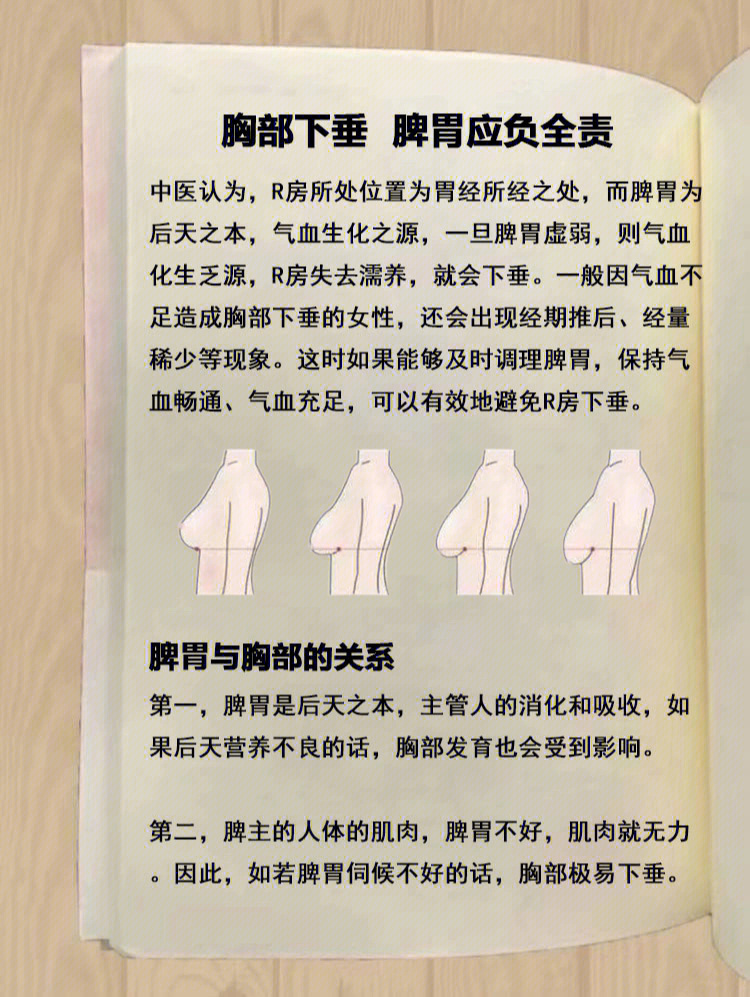 乳房四个象限图片