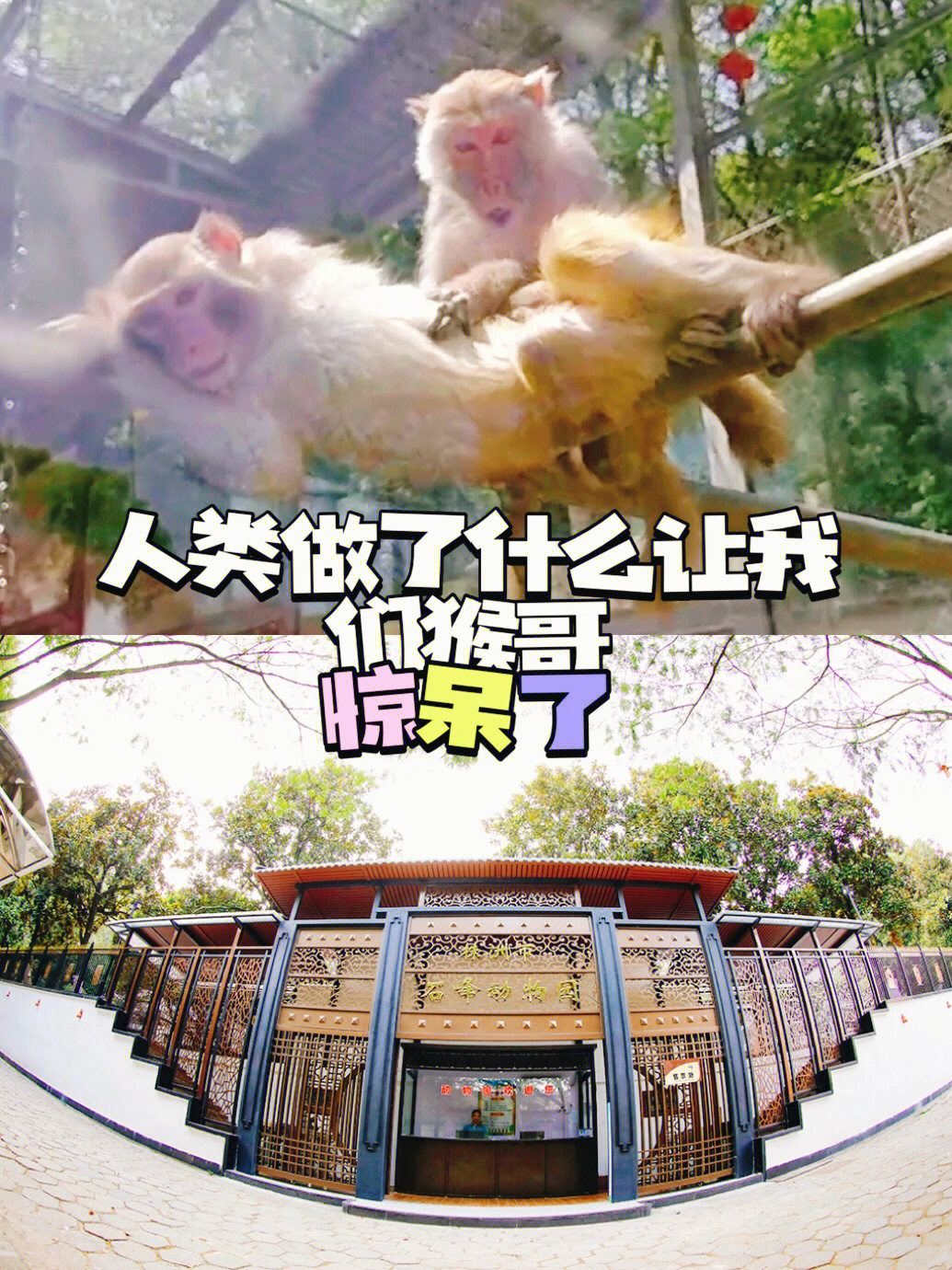 石峰公园动物园图片