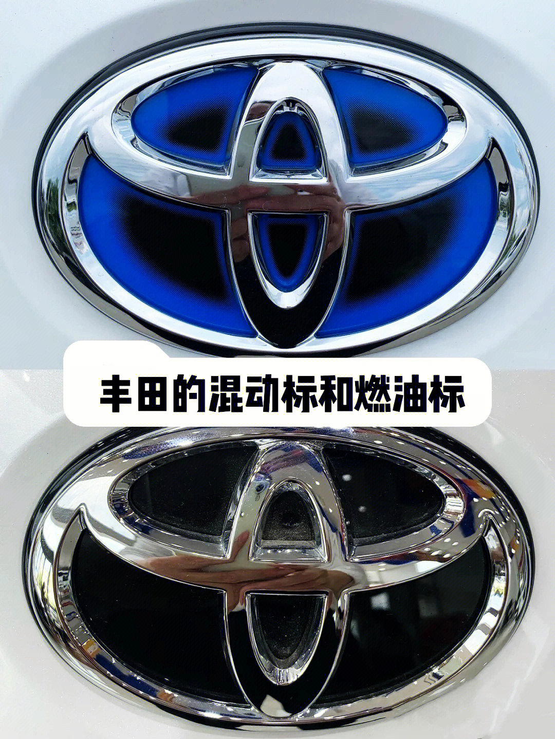 丰田系列所有车型字母图片
