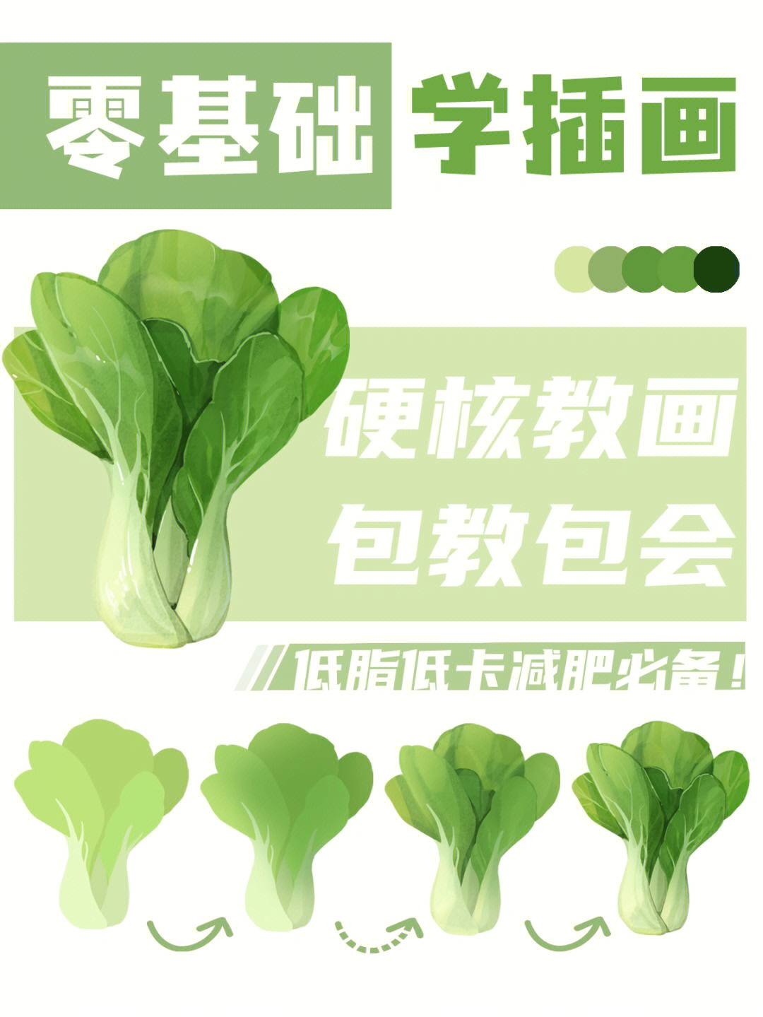 零基础学插画教你画蔬菜上海青