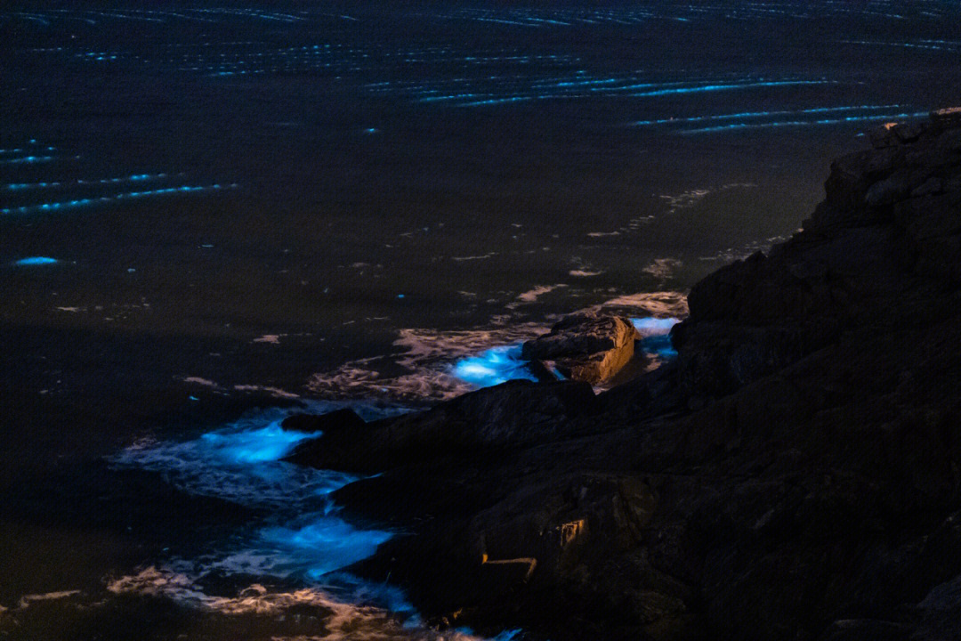 带上爱人来看最美的荧光海滩威海荧光海