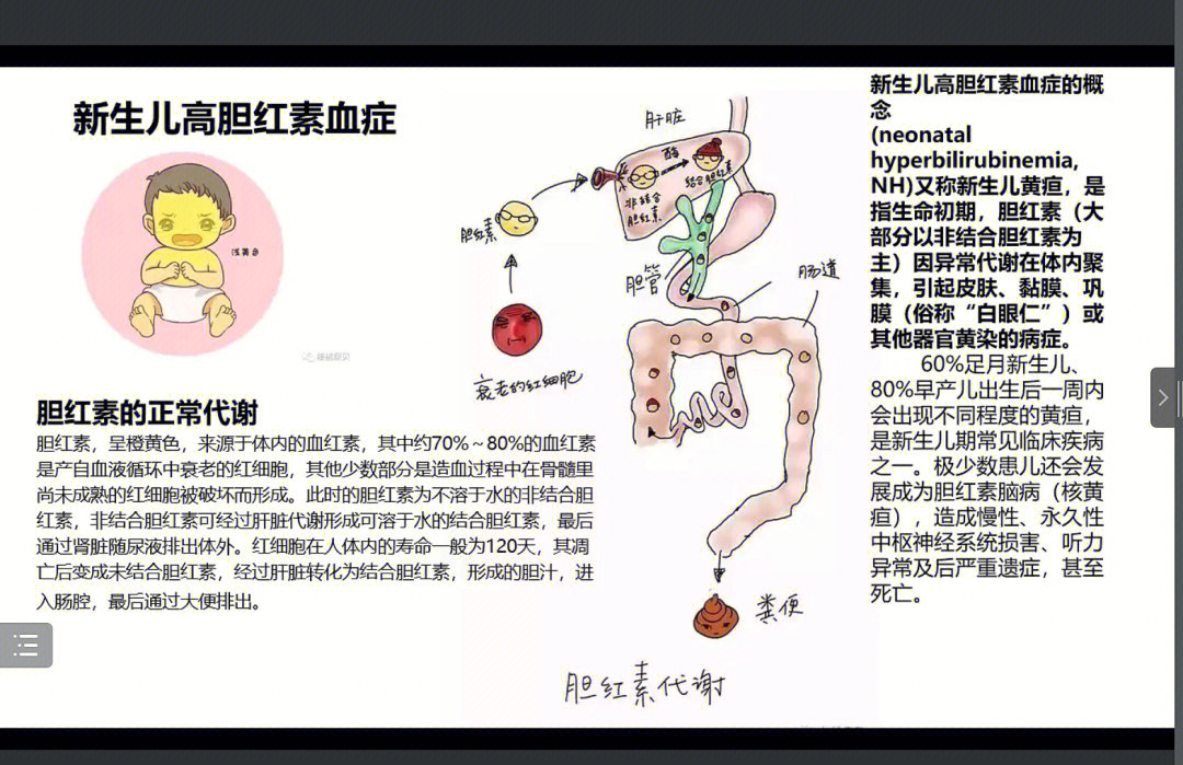 保险经纪人日常工作