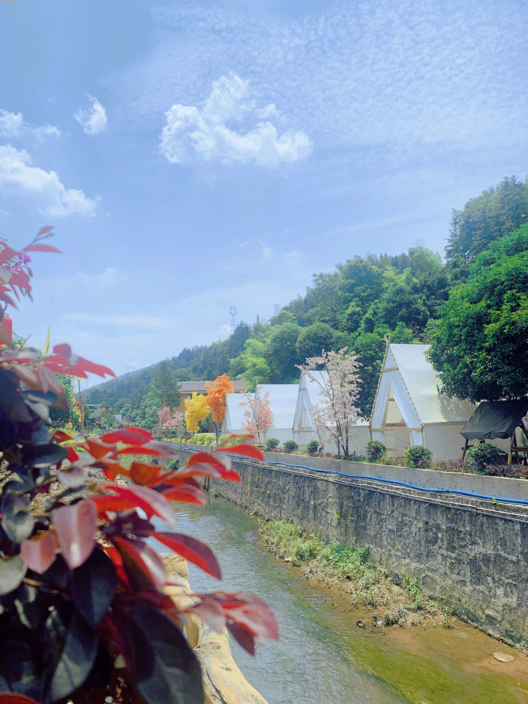 龙泉大院