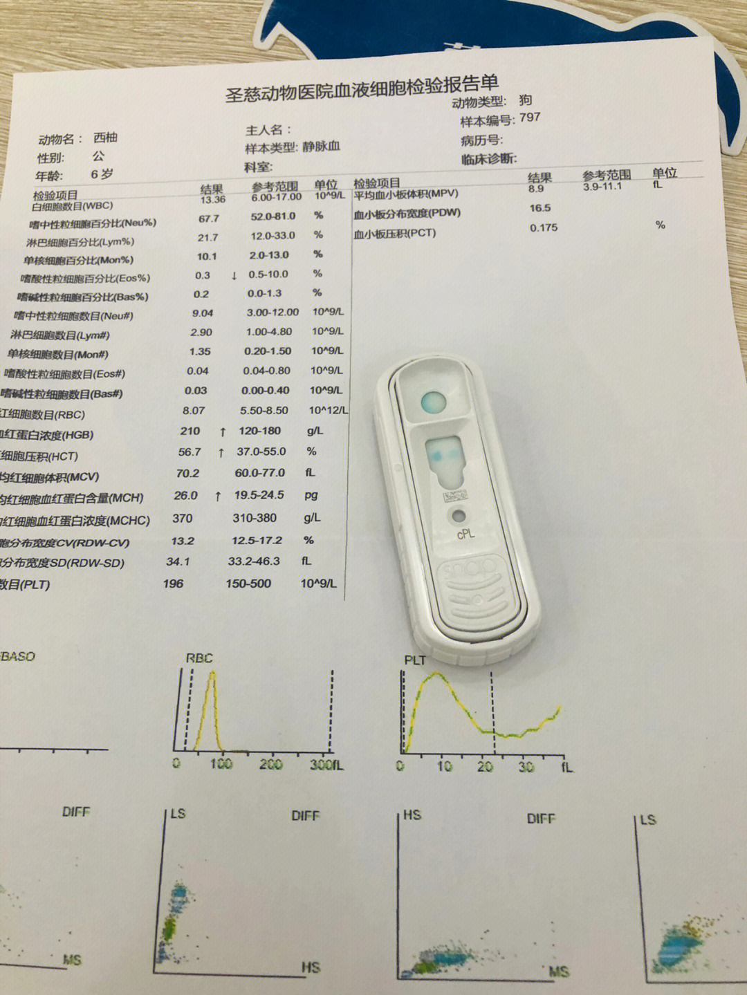 爱德士血气分析仪图片