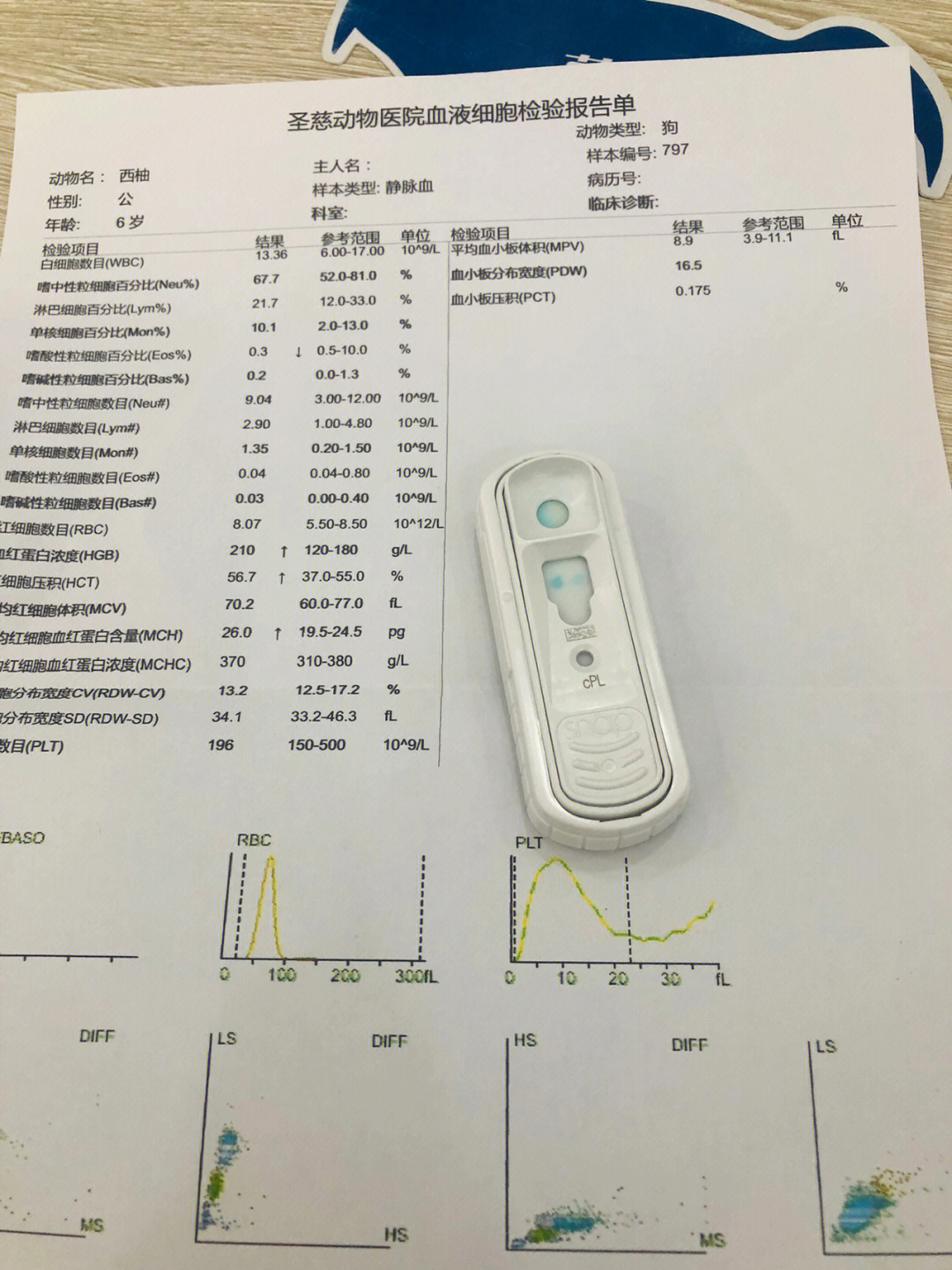 爱德士可的松图片