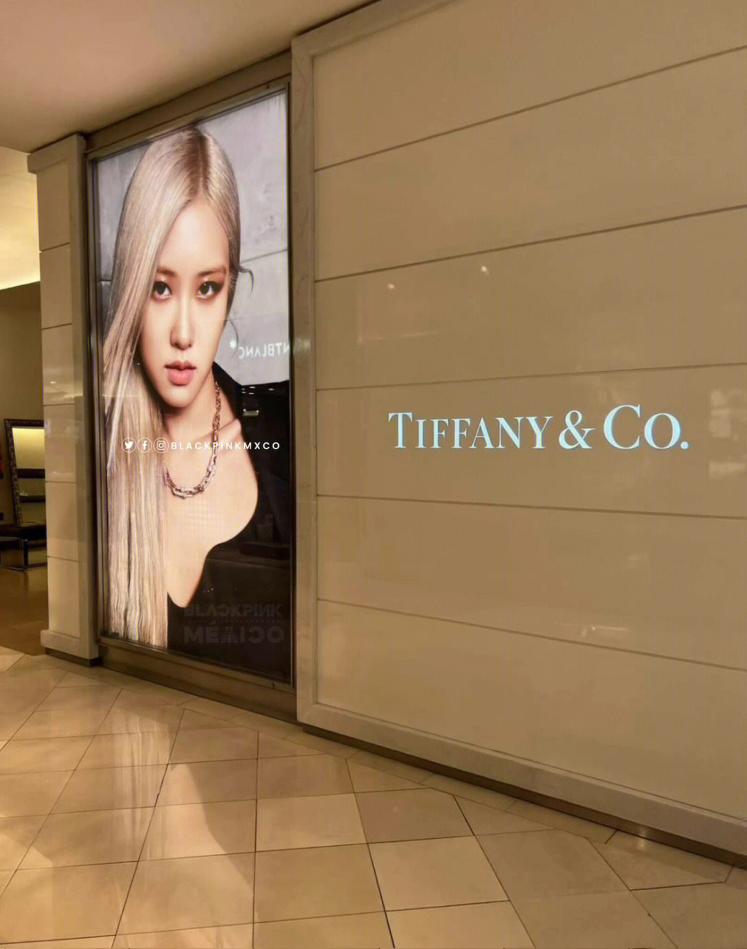 tiffany全球品牌代言人图片