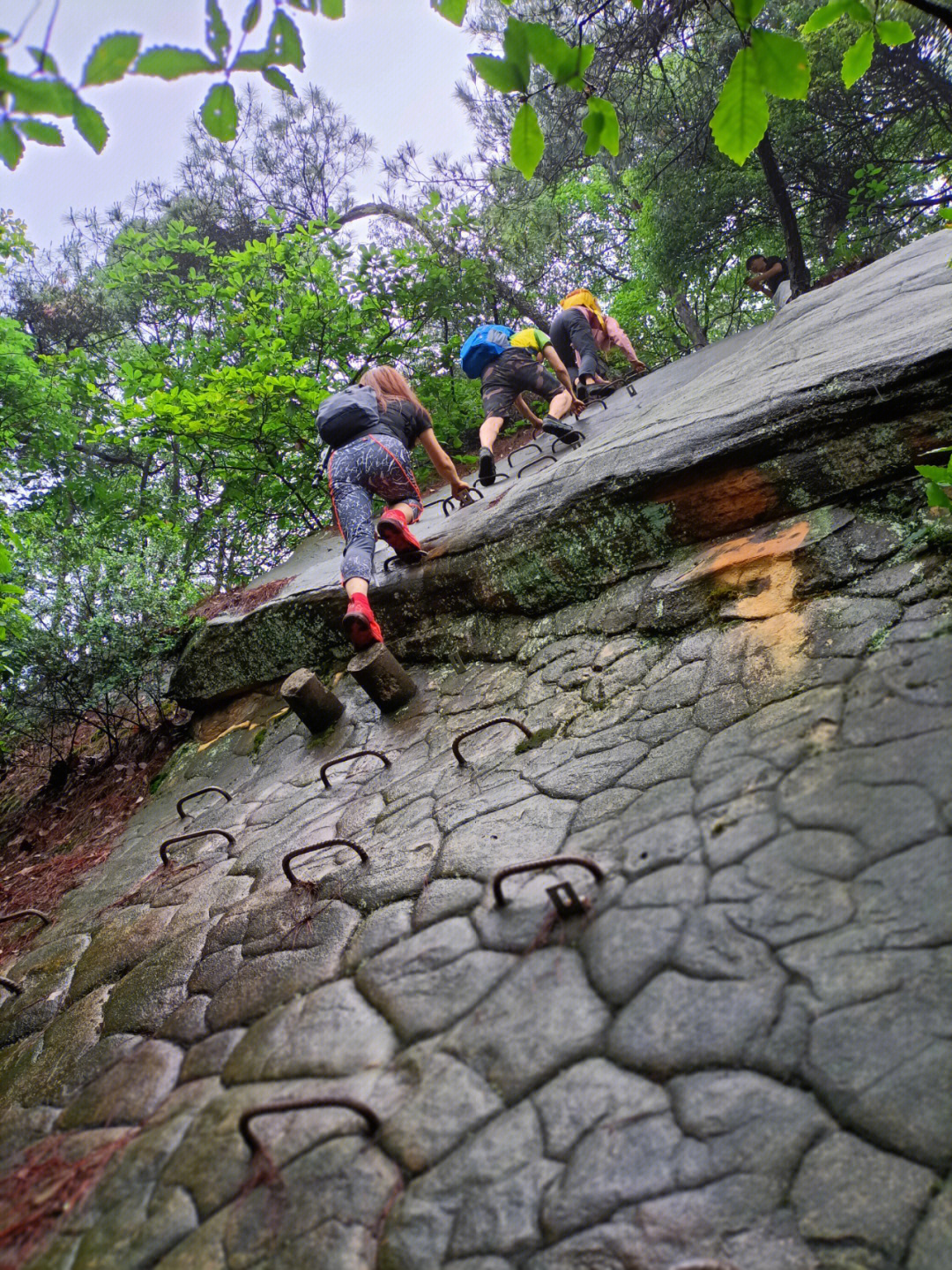 每周一山这里也有飞拉达歌乐山红岩险道