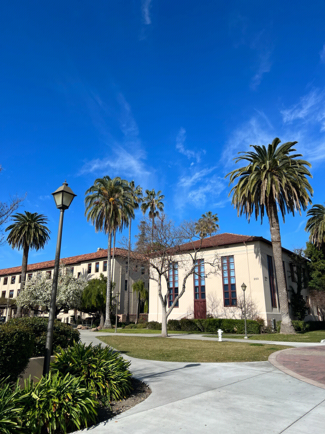 santaclara大学图片