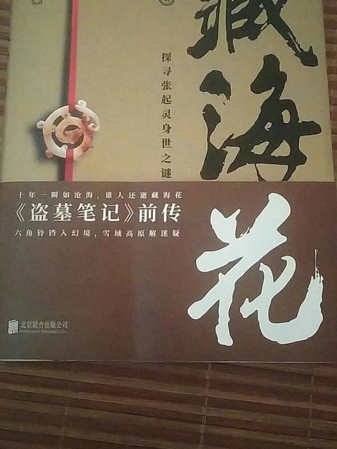 藏海花封面图片