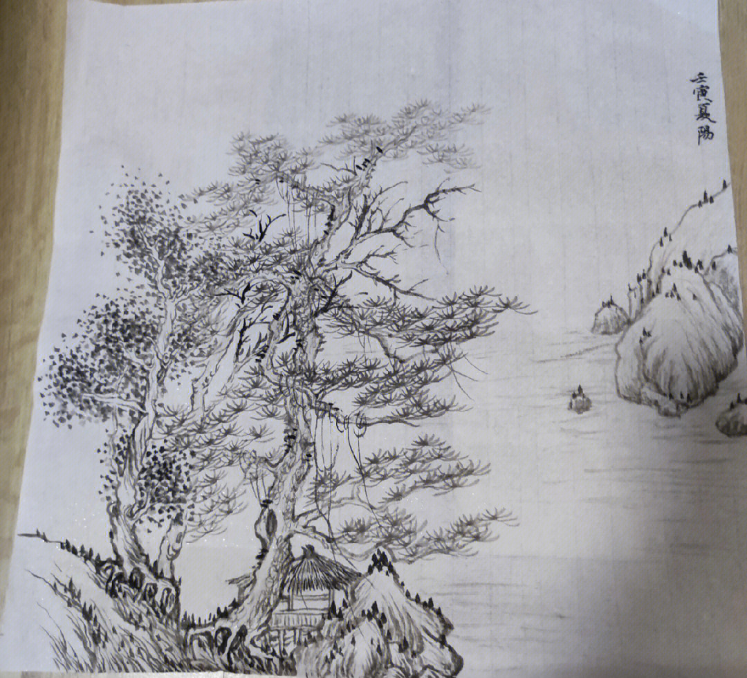 松树画法铅笔图片