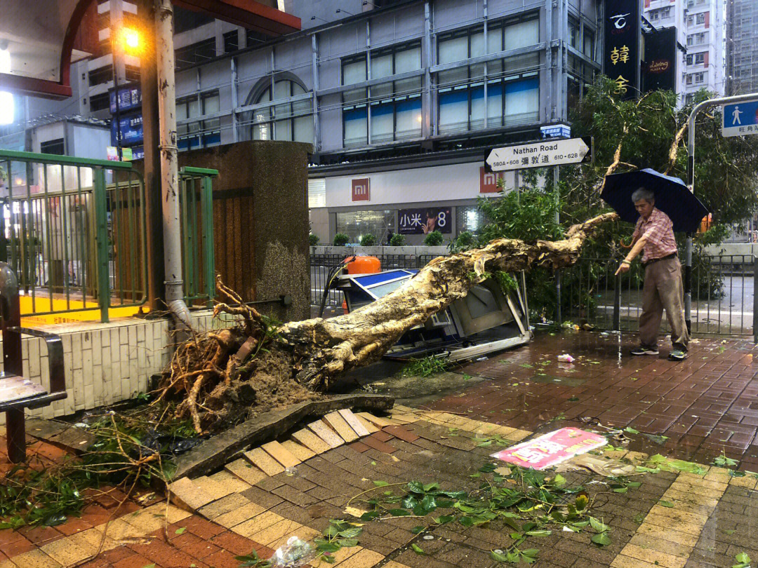 台风nathan foy图片