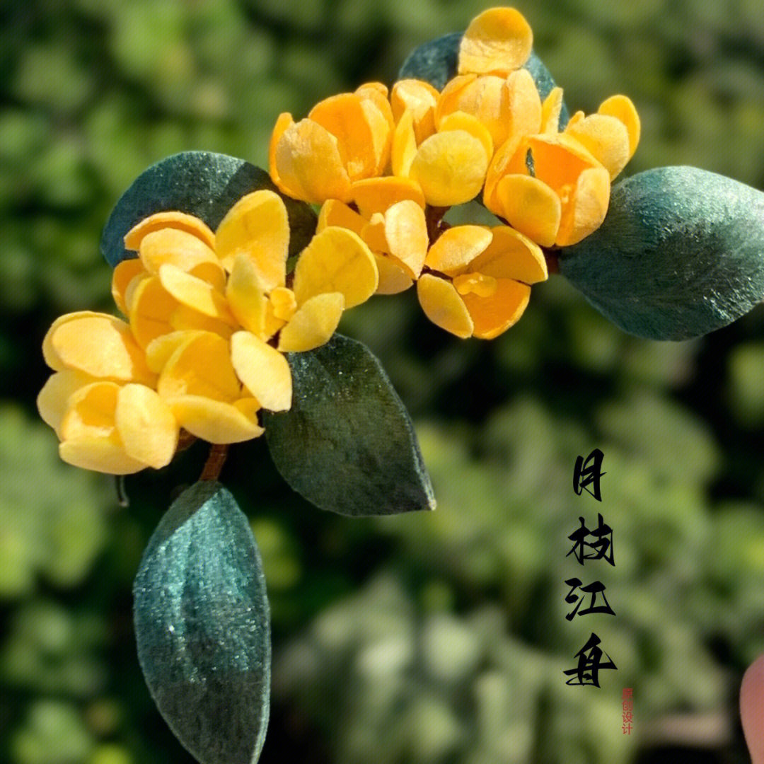 桂花针花样大集合图片