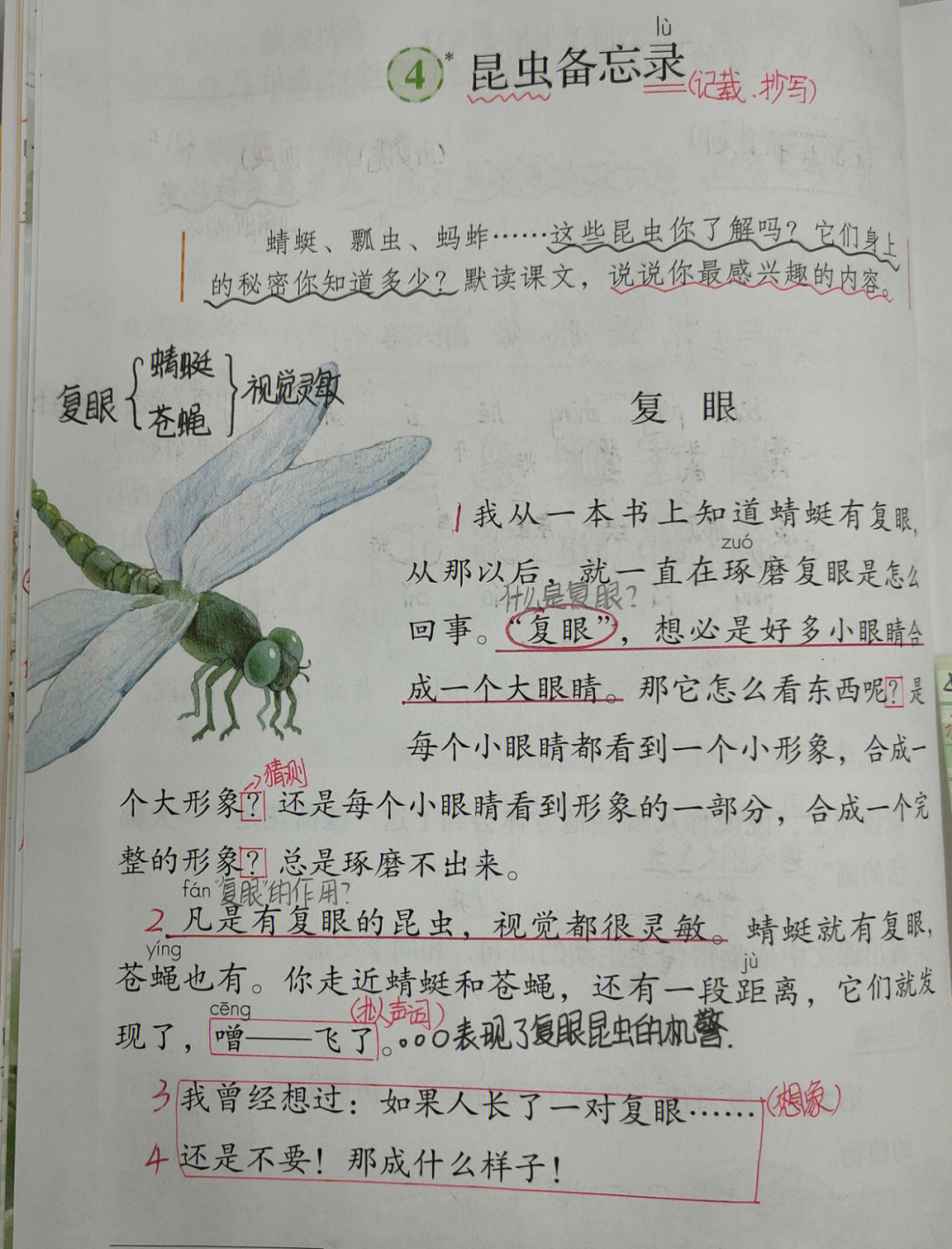 昆虫备忘录课文原文图片