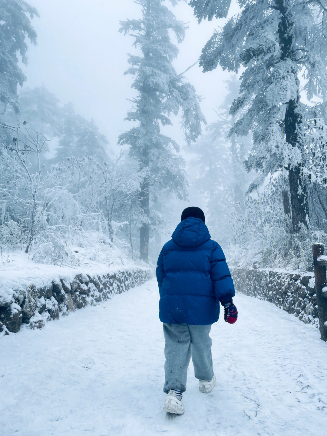 南方人看到雪就莫名激动