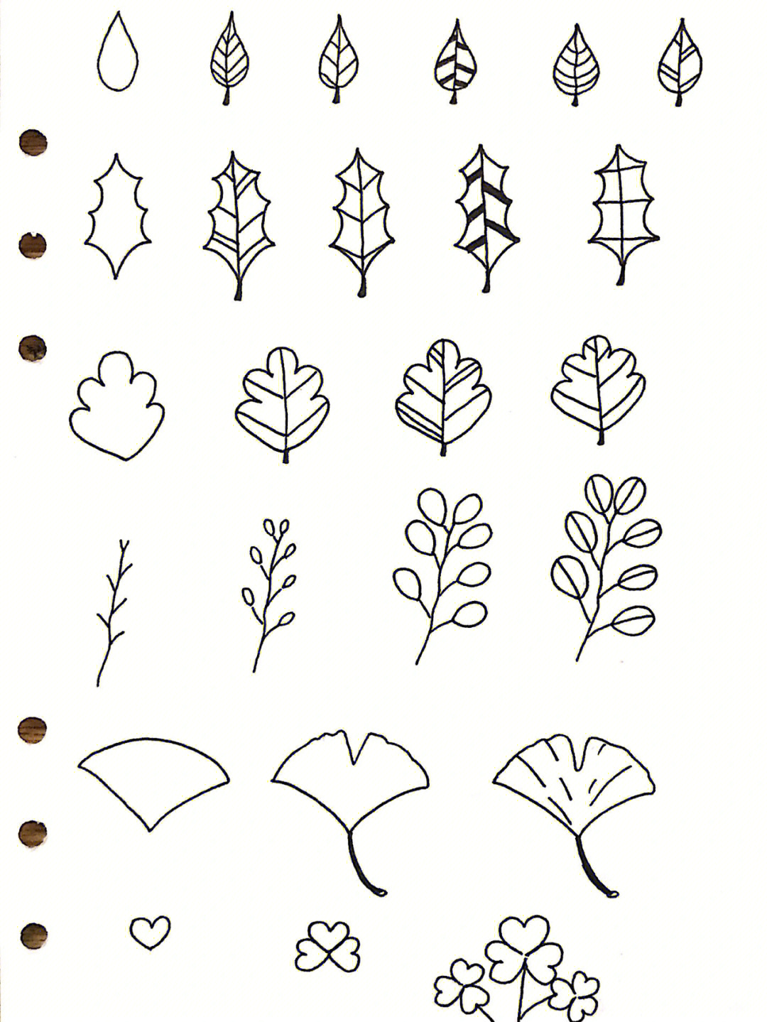 各种树叶简笔画及名称图片