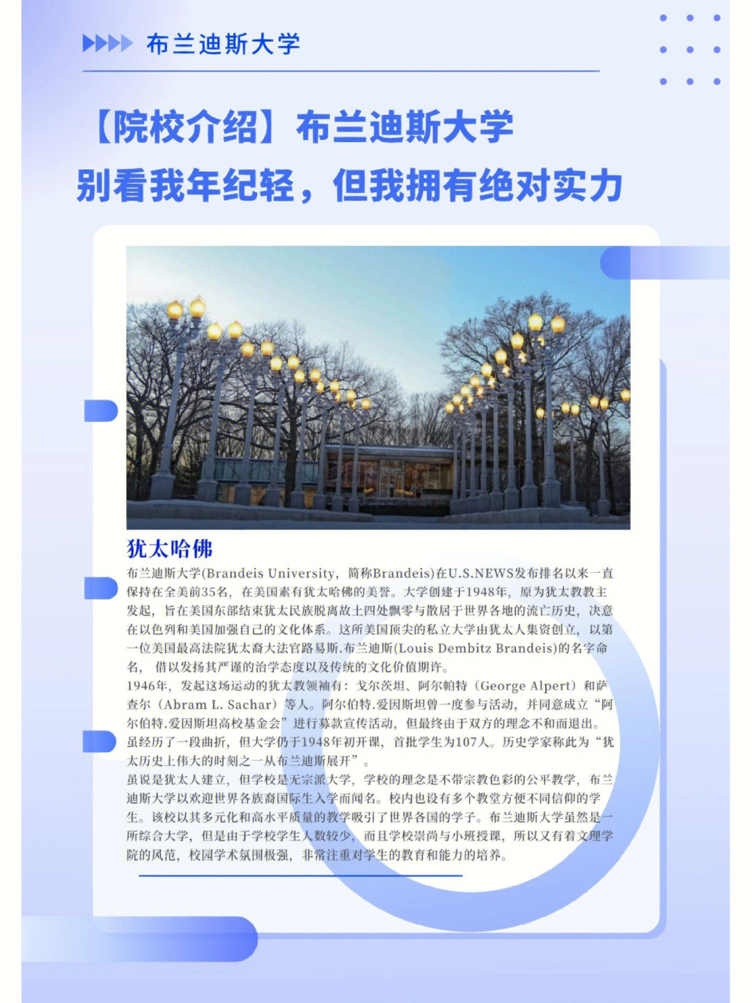 布兰迪斯商学院图片