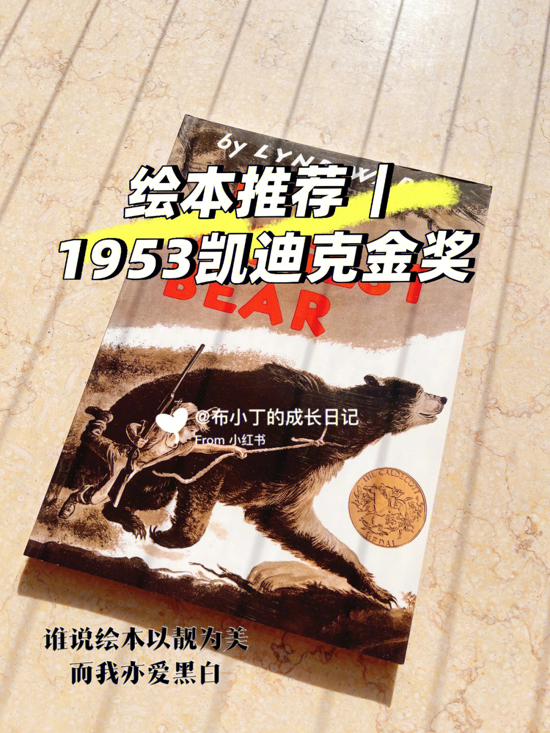 绘本推荐1953凯迪克金奖thebiggestbear