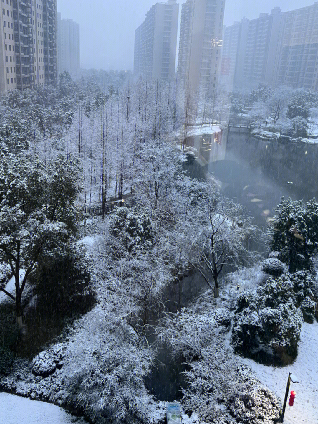 杭州又下雪了76