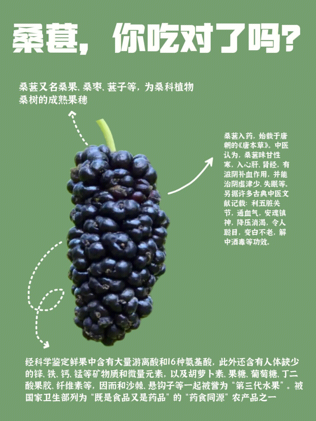 桑葚gi值图片