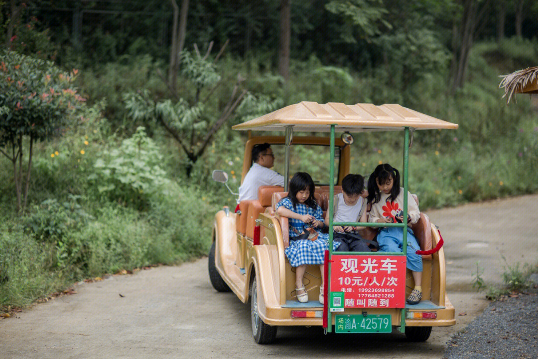 重庆巴南儿童游乐园图片