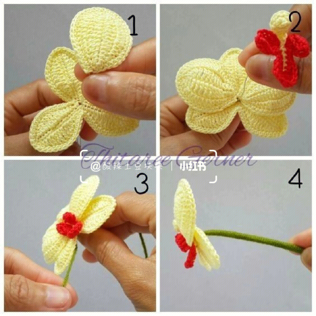 平针蝴蝶花织法图片