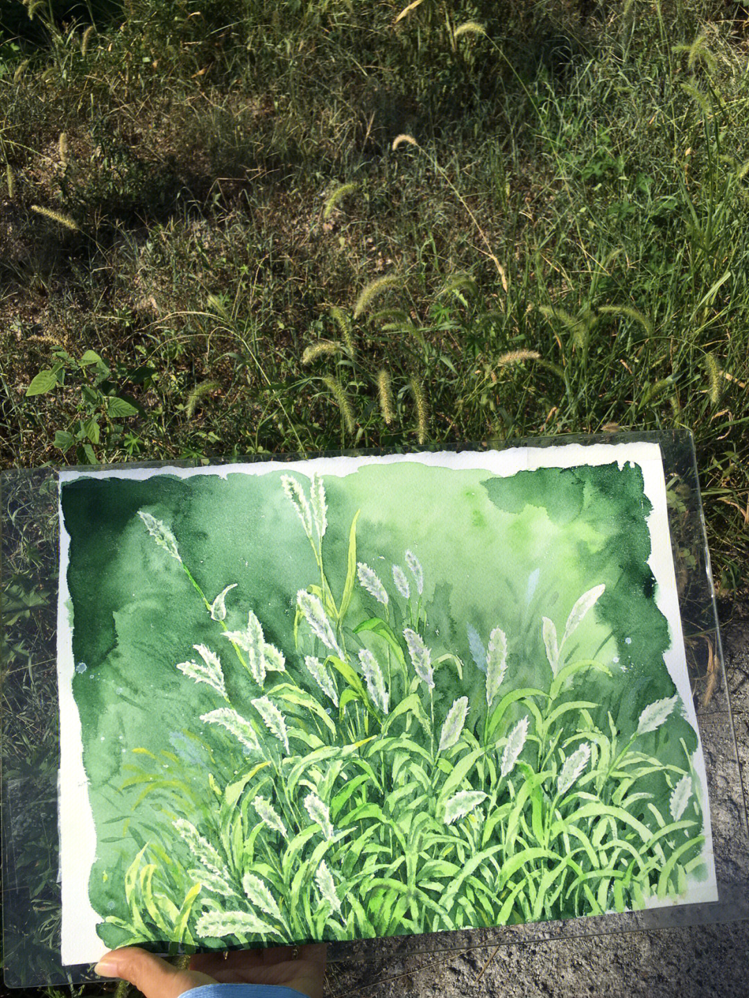水彩杂草丛的画法图片