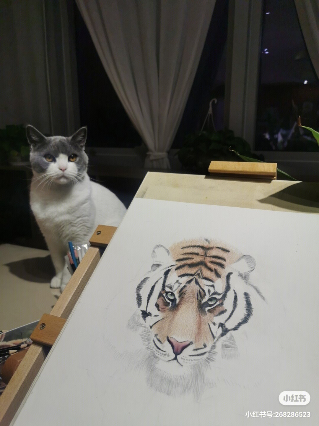 把猫画成老虎图片