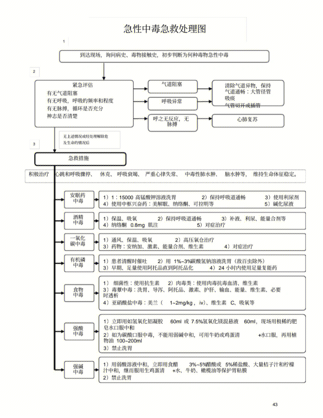 美兰解毒机制图片