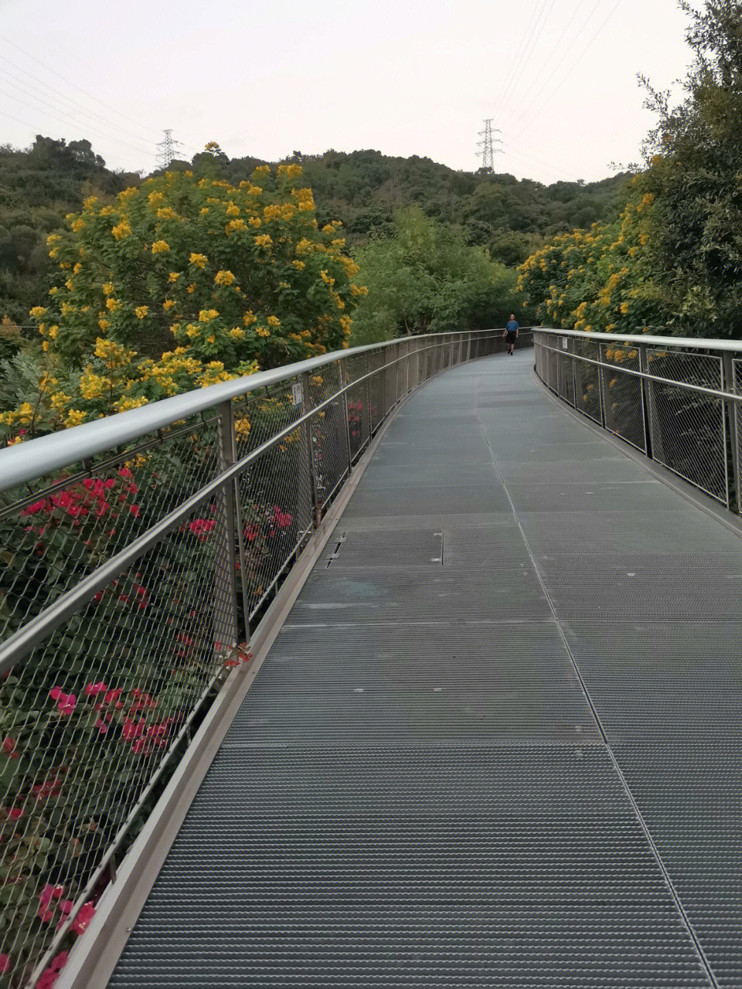 仙岳山健康步道图片