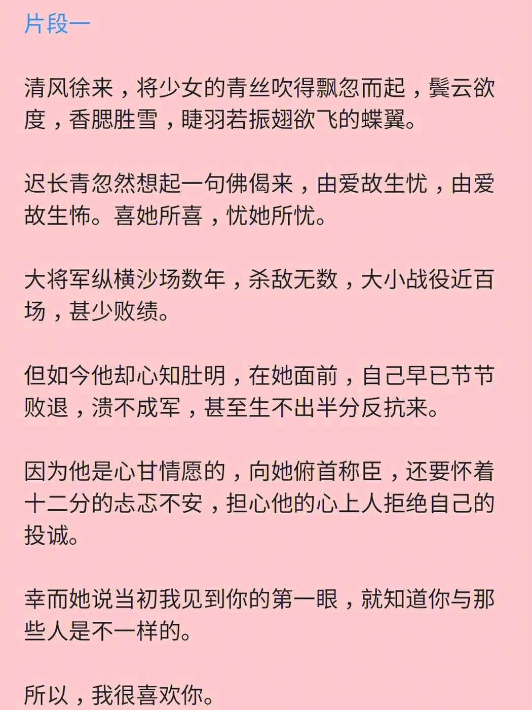 嫁给将军后的种田日常迟长青洛婵