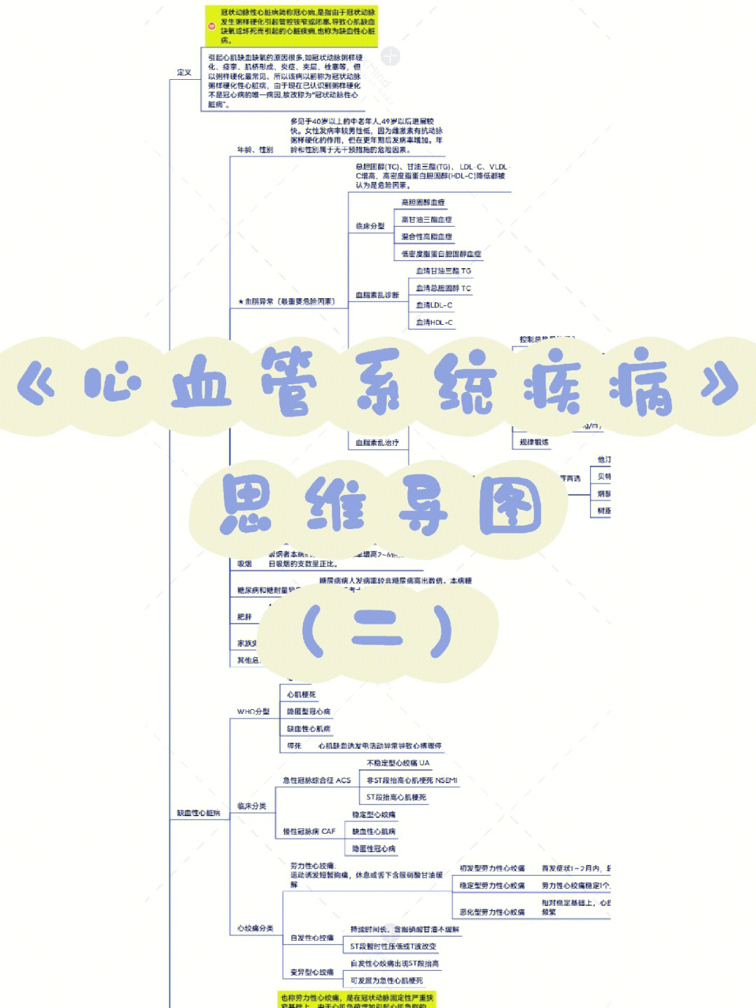 心血管系统疾病思维导图二