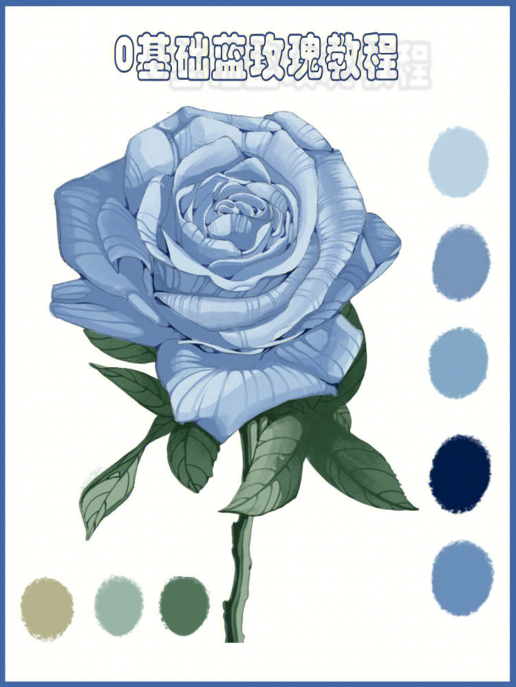 画蓝玫瑰的简单方法图片