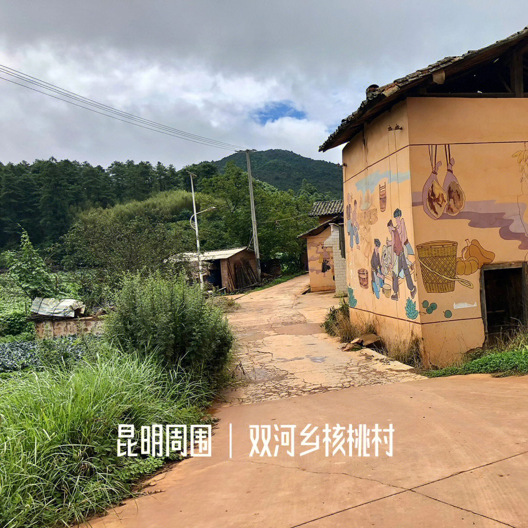 昆明越野跑双河彝族乡核桃园村