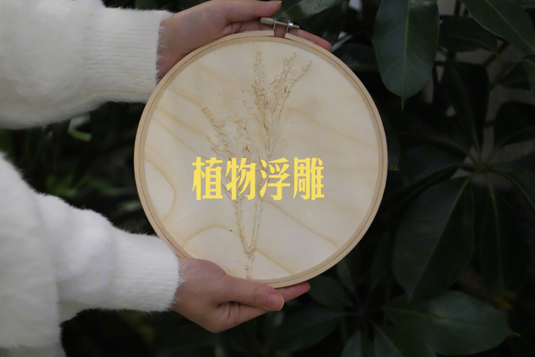 植物浮雕制作方法图片