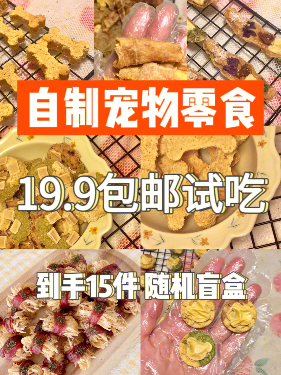 宠物零食自制开店图片