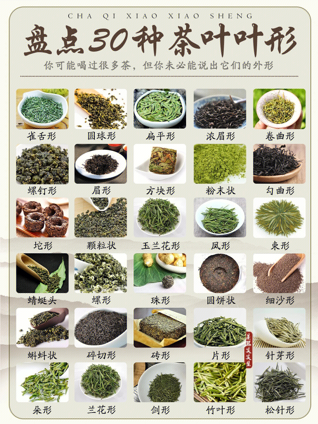 30种常见茶叶外形小白也能一眼识茶