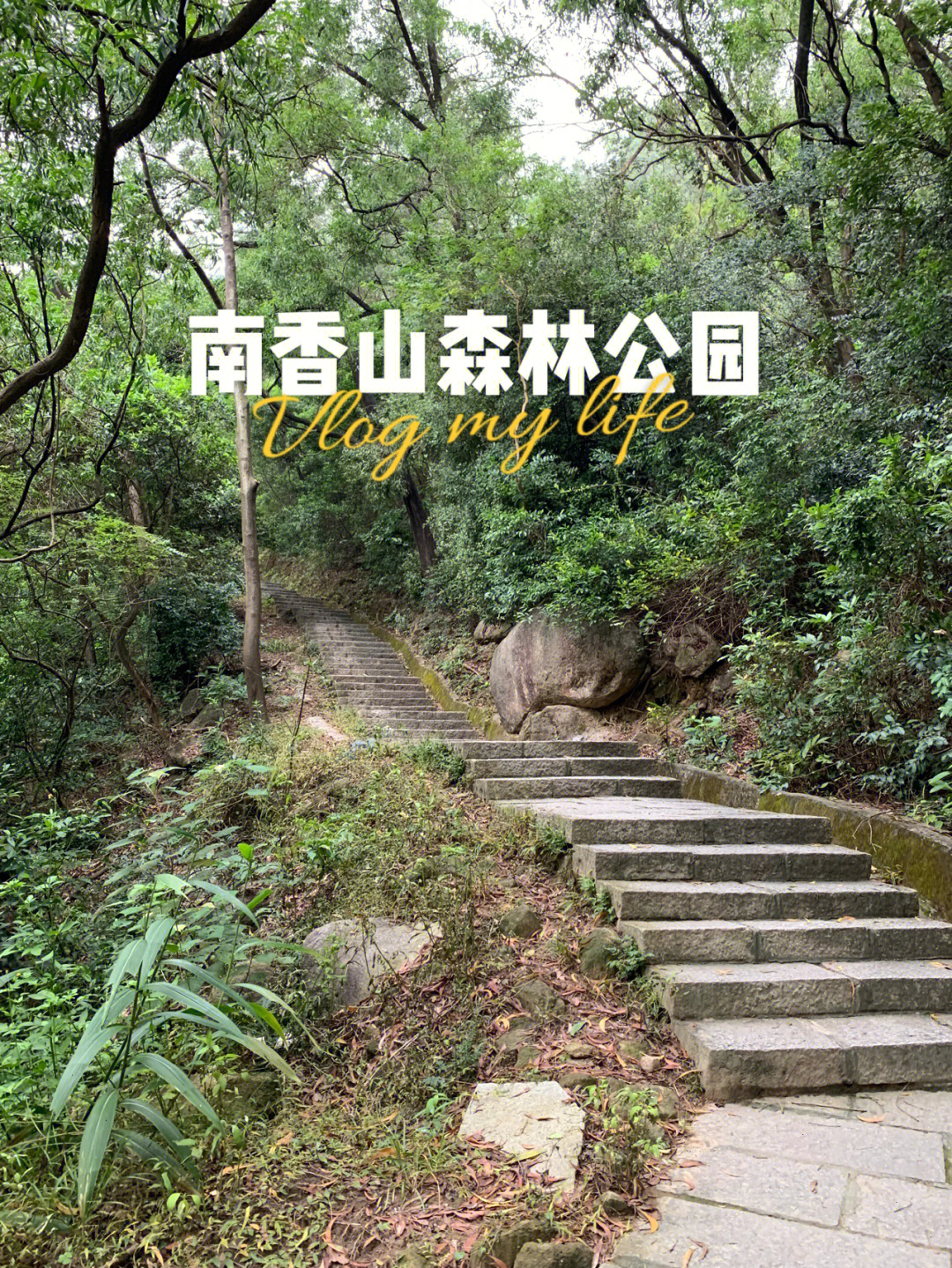 南香山森林公园在哪里图片