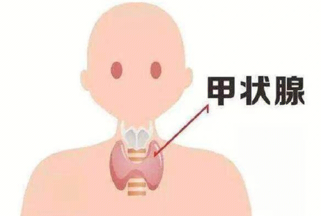 小孩甲状腺图片大全图片