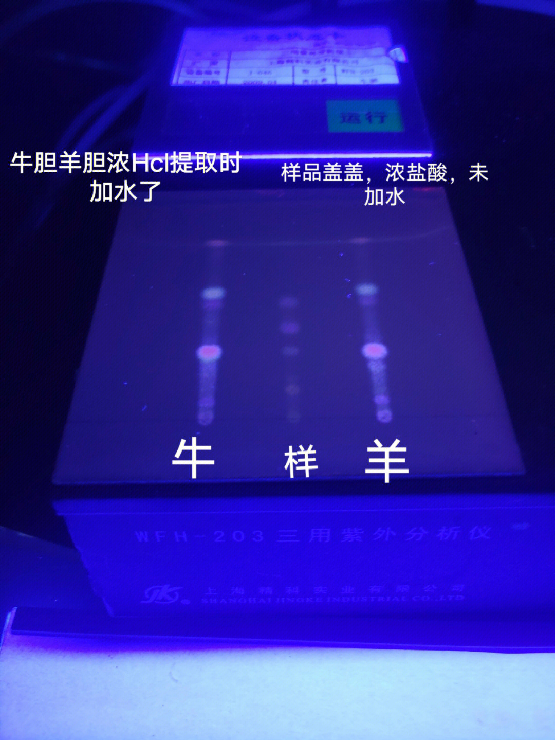 猪胆粉用量图片