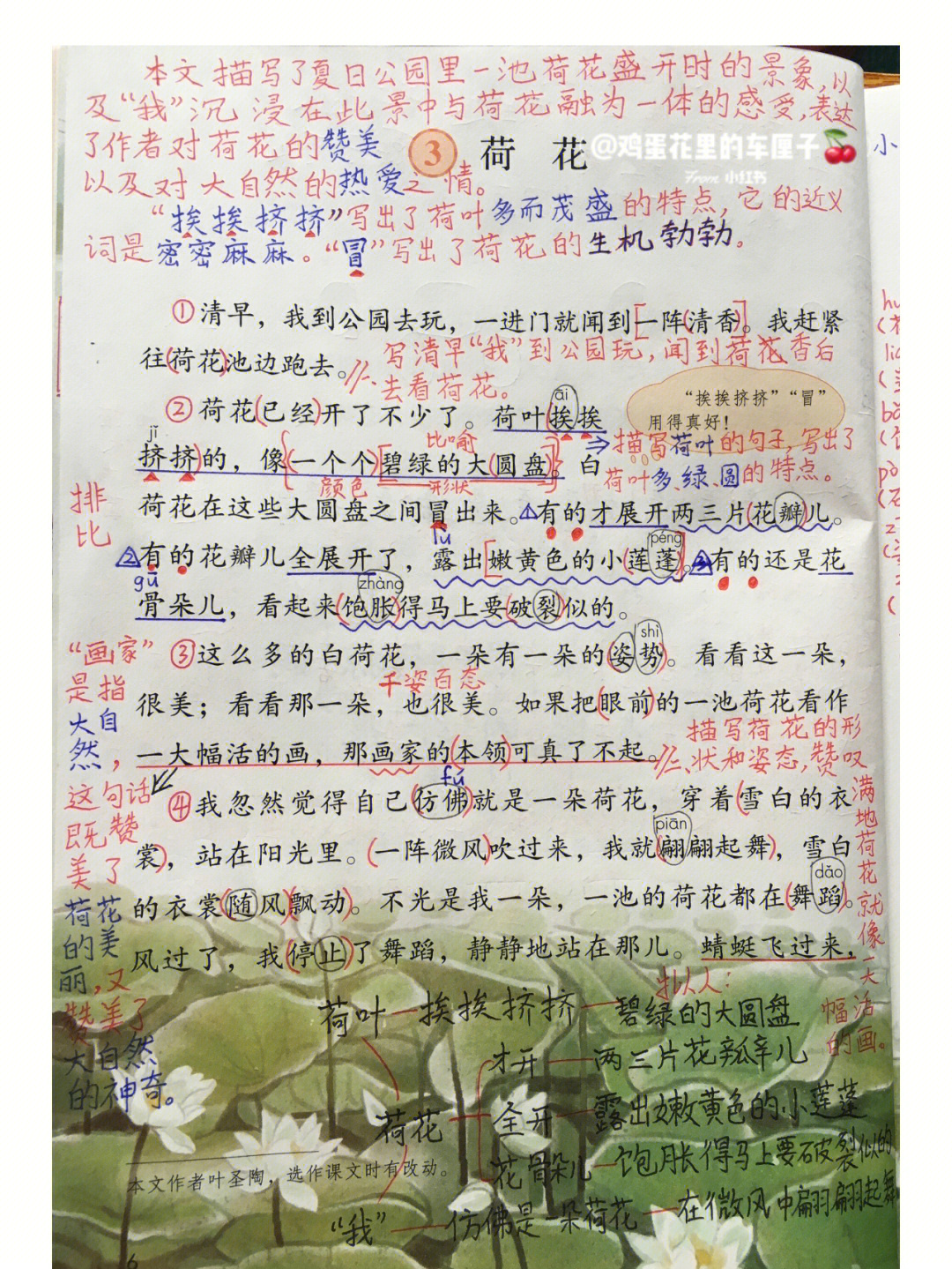 荷花淀批注图片