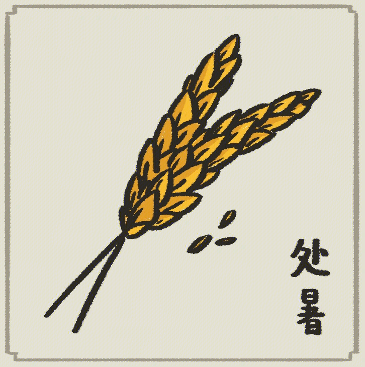 小麦简笔画步骤图片