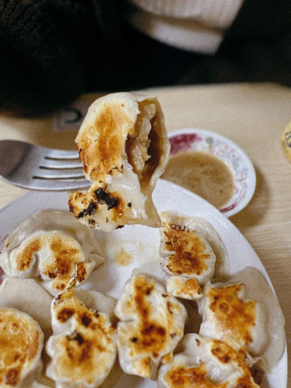 骆驼肉馅饺子图片